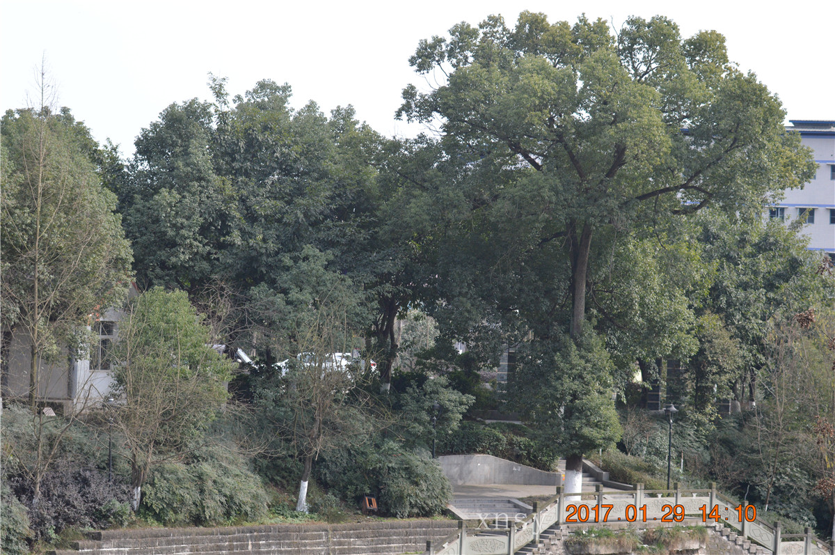 DSC_0414.JPG
