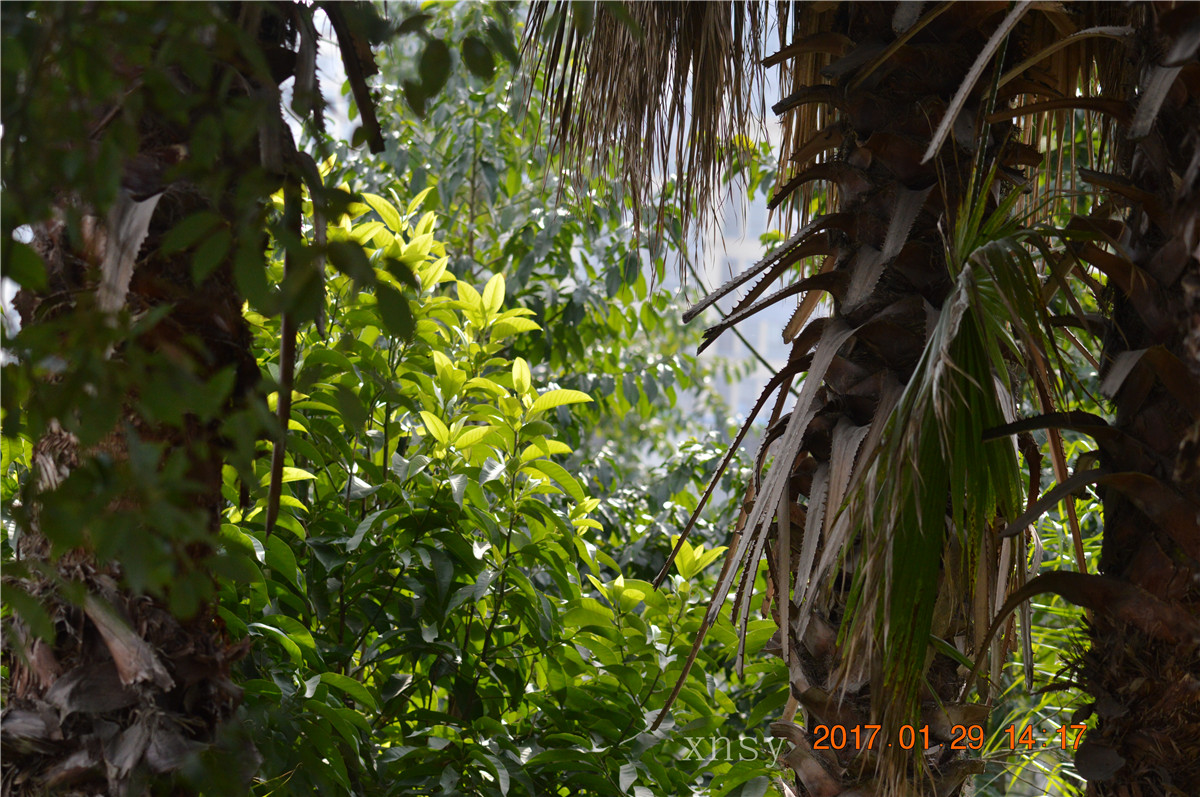DSC_0417.JPG