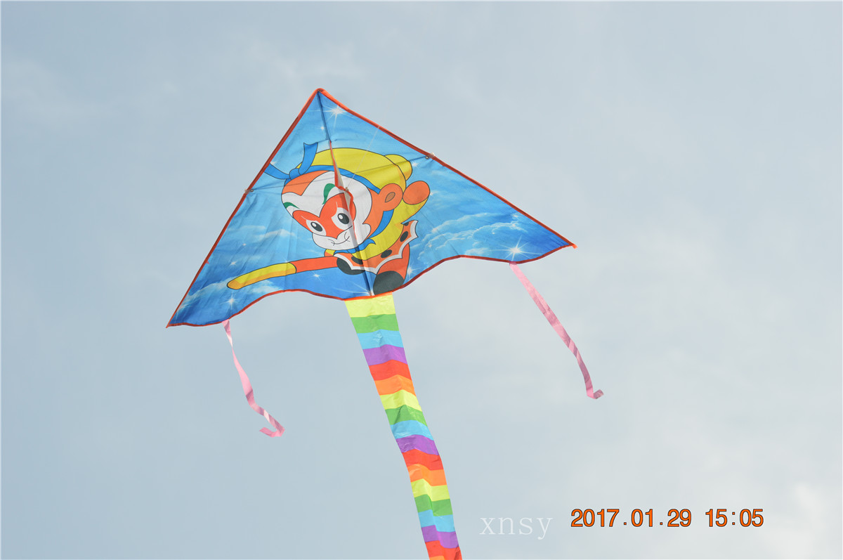 DSC_0482.JPG
