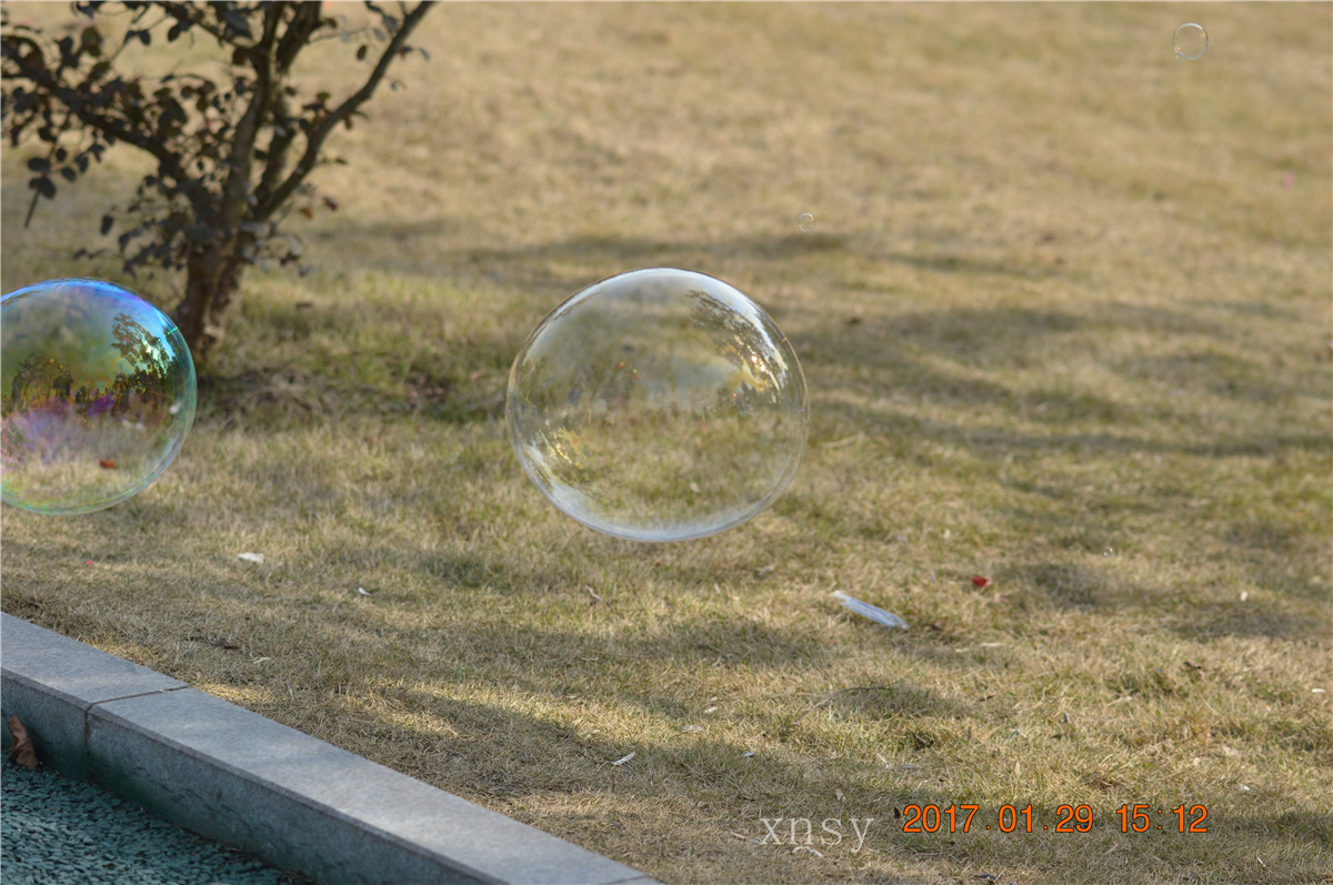 DSC_0496.JPG