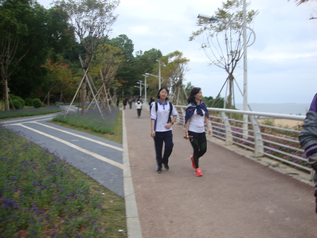 095221bm29wzpvc9mt9c5r.jpg