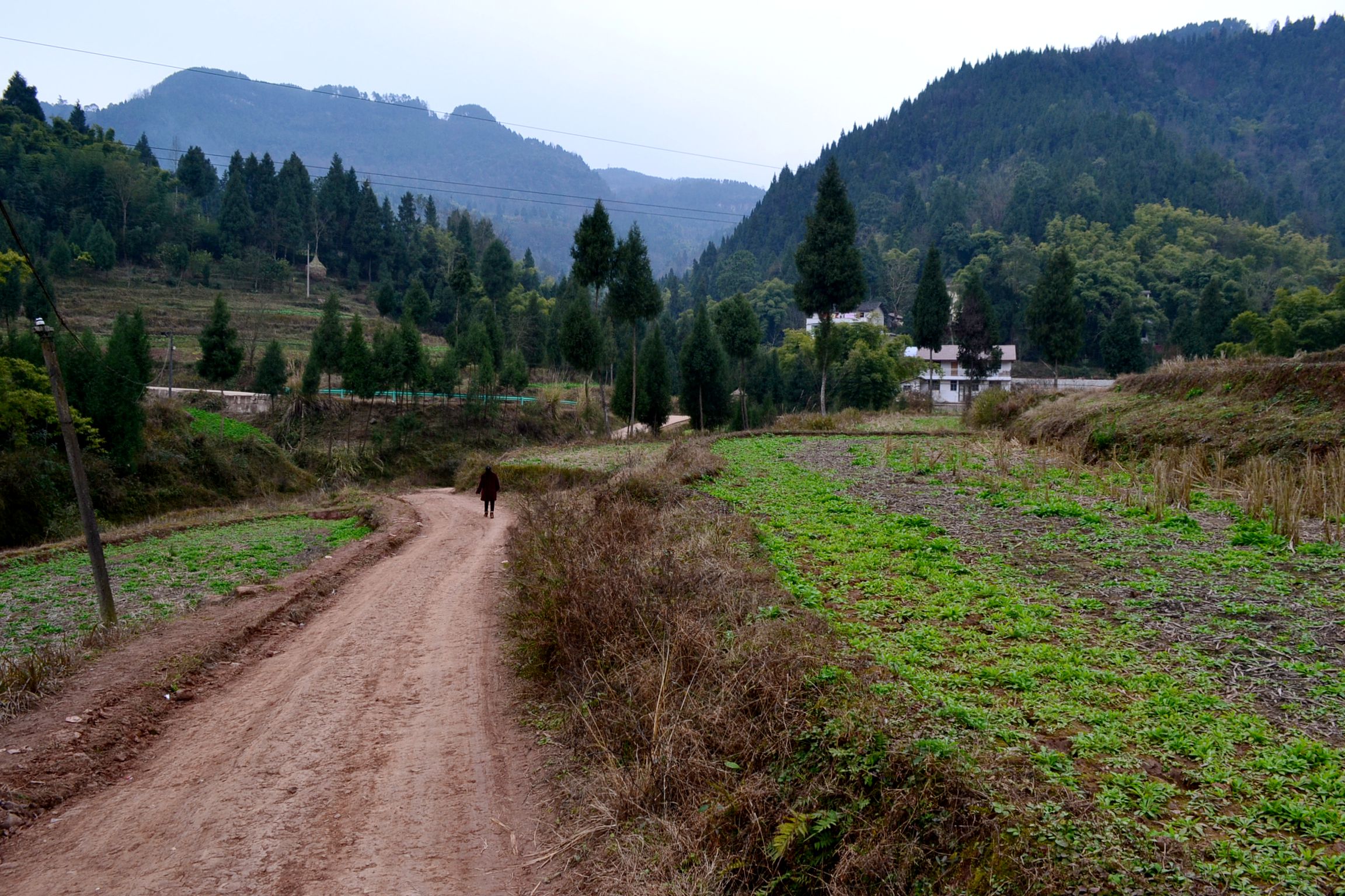 DSC_1005.JPG