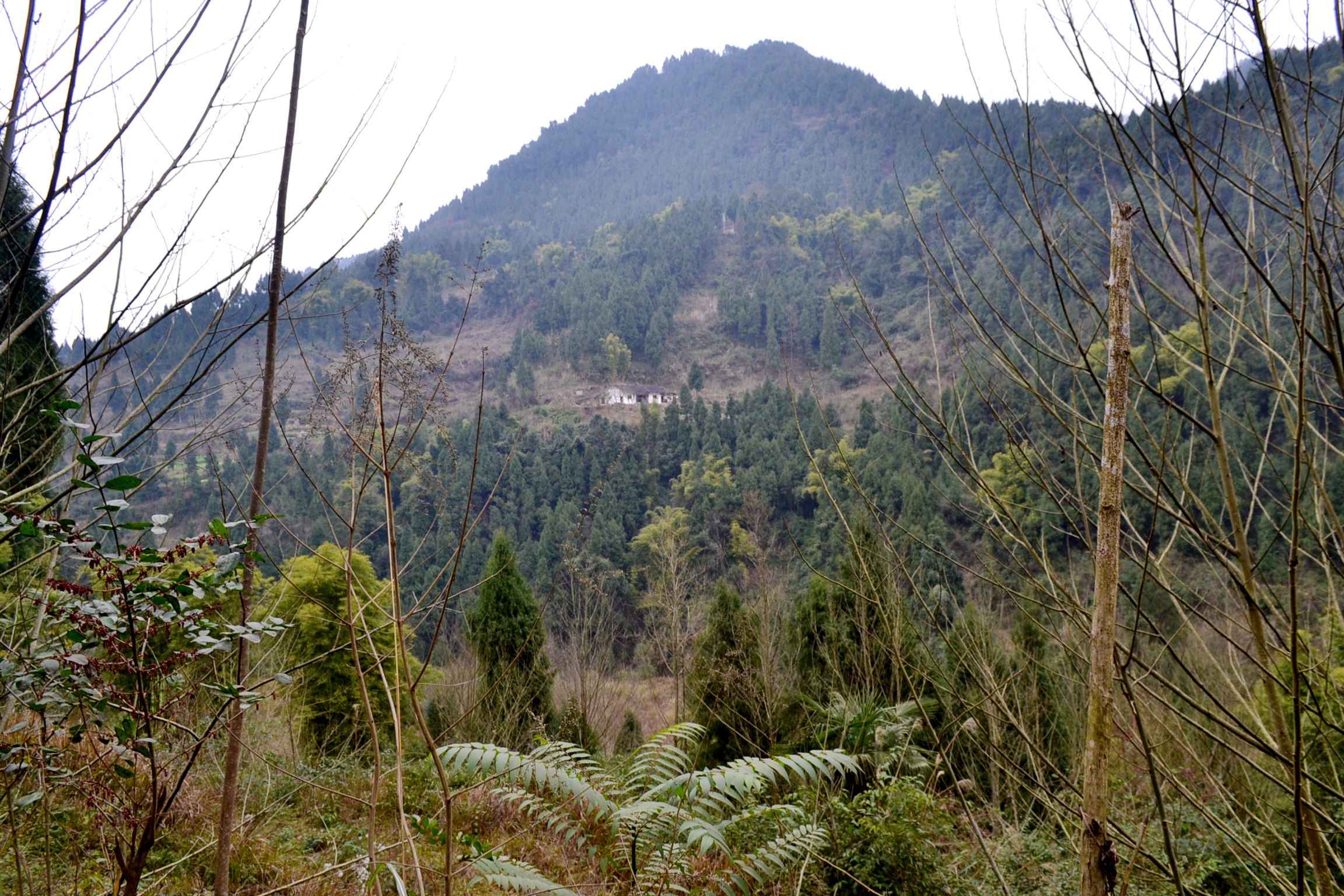 DSC_1016.JPG