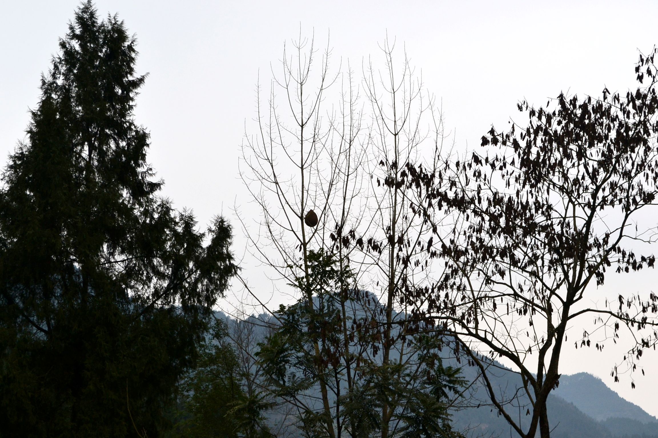 DSC_1022.JPG