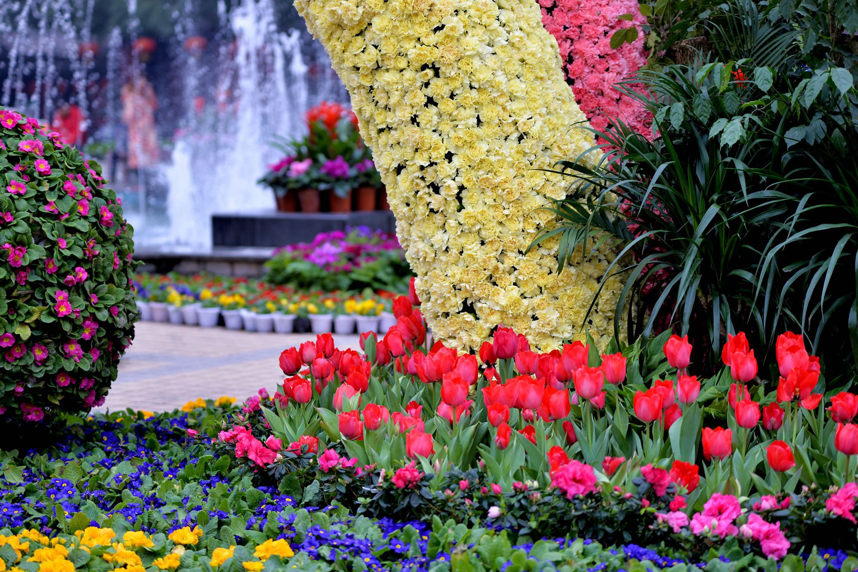Ƭ 080.jpg