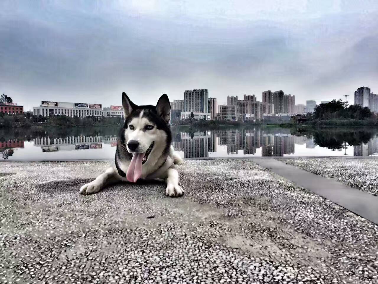 114221r3dd18465rdh0hdv.jpg