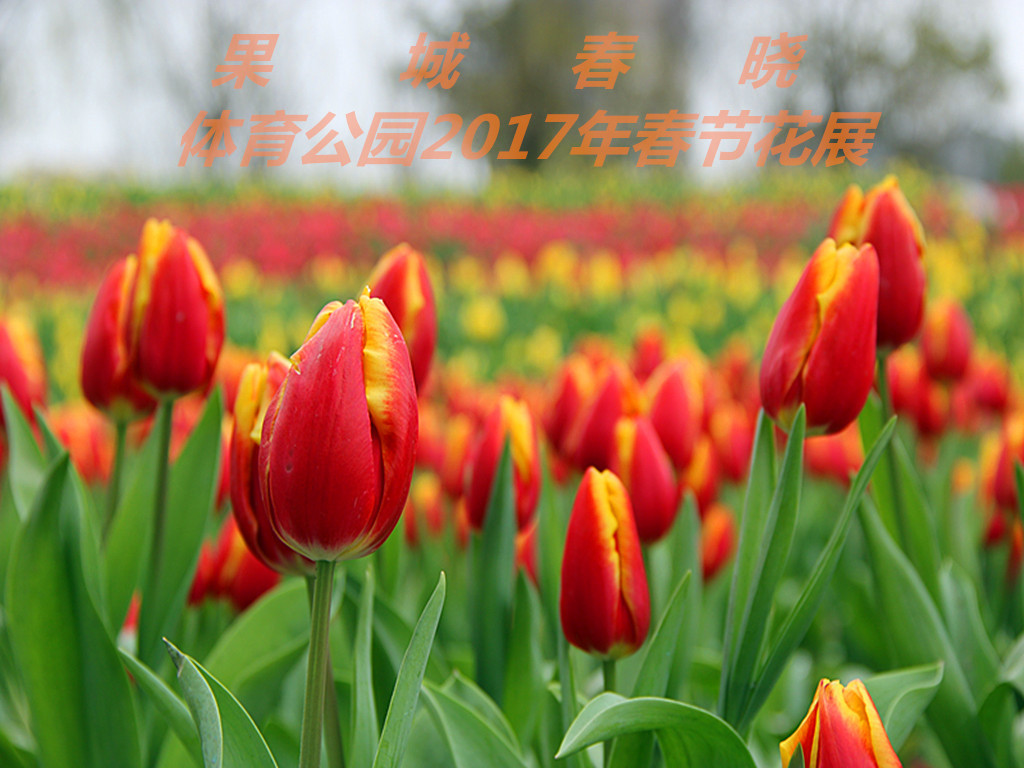 IMG_3985__.jpg