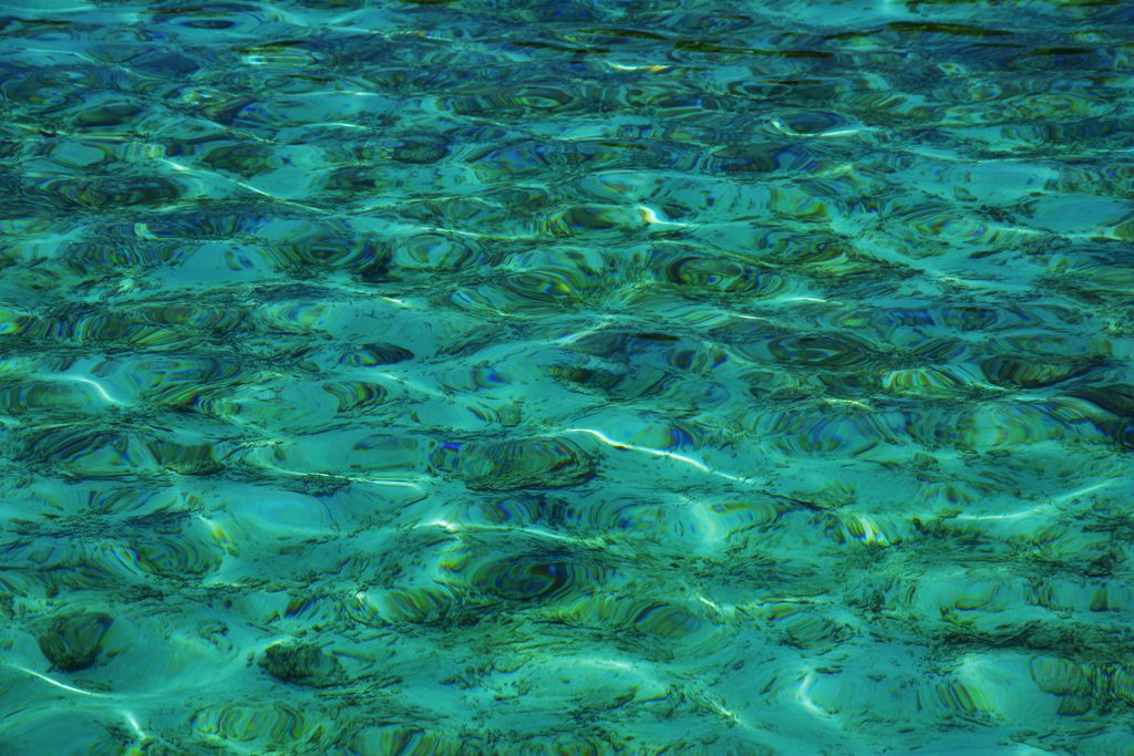 马尔代夫浅海海底的自然风光