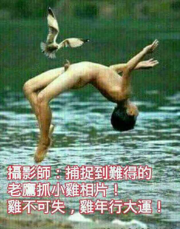 QQͼƬ20170203124051.jpg
