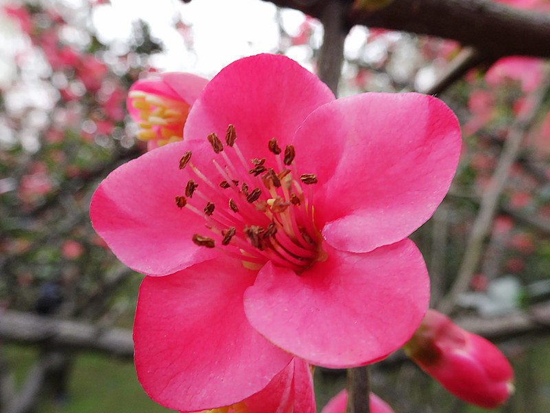 DSC04417_.jpg