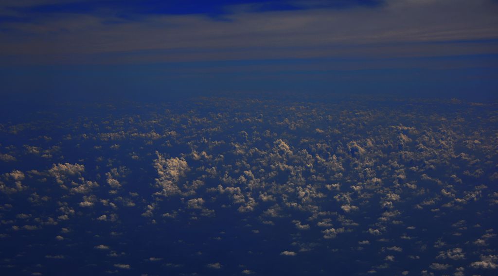 DSC_0505_.jpg