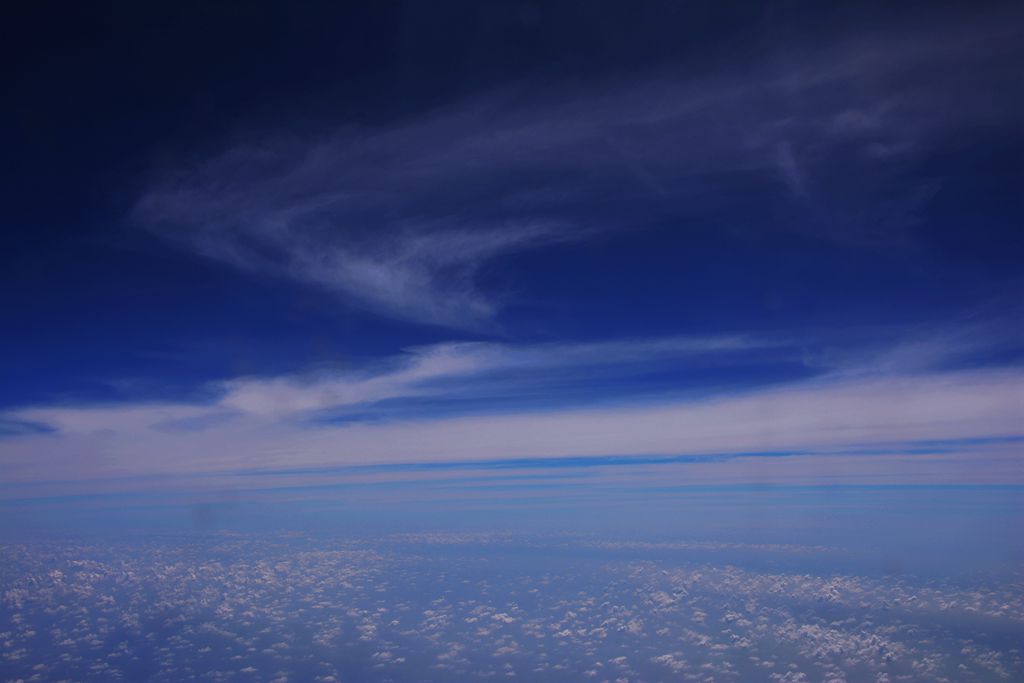 DSC_0509_.jpg