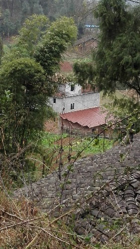 IMG_20170205_163021.jpg