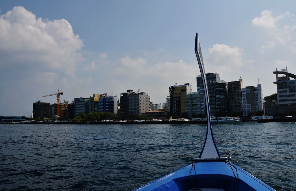 DSC_0523_.jpg