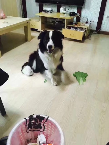image.jpeg