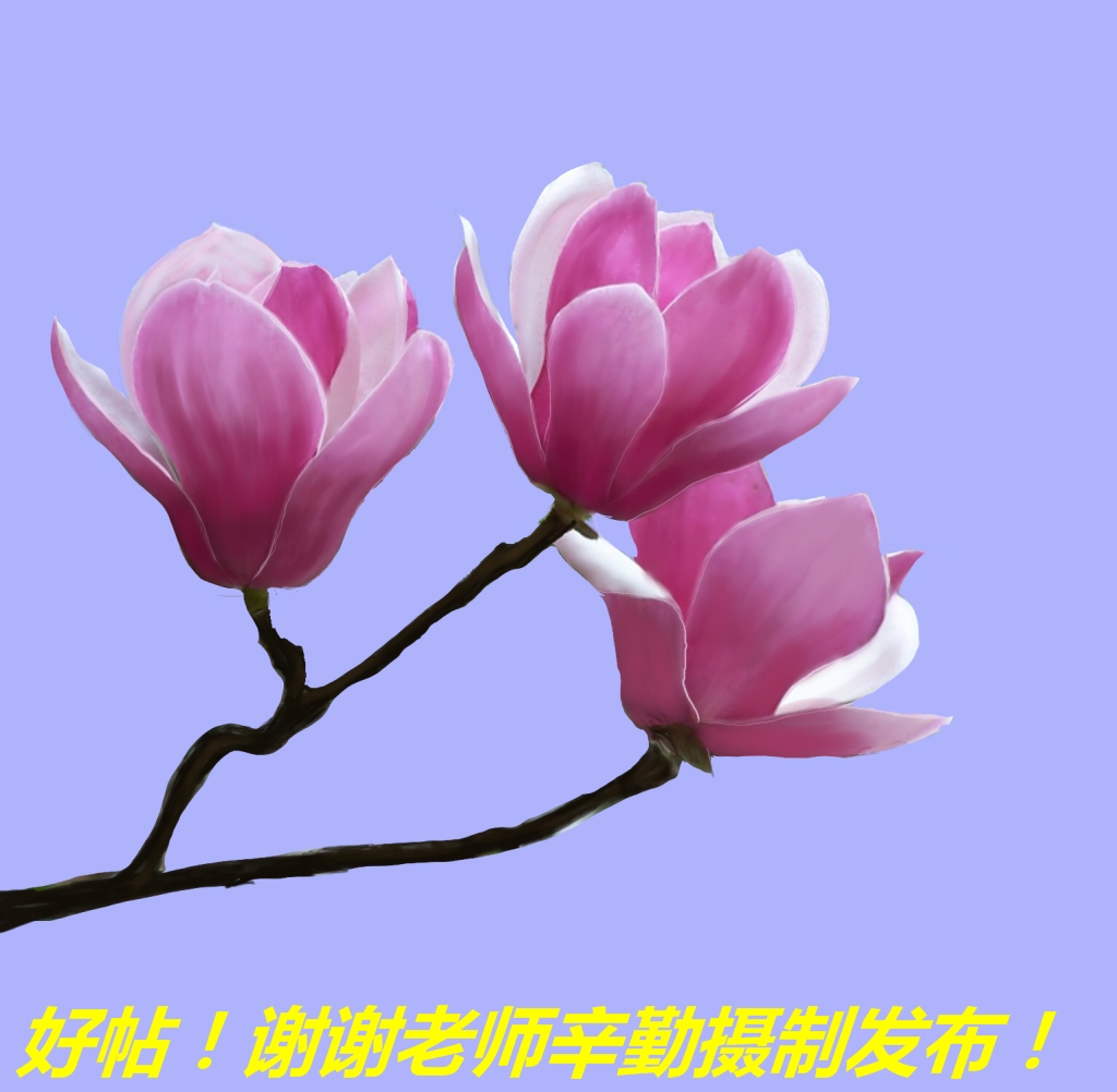 173808cokzcnoo51bc6okm.jpg