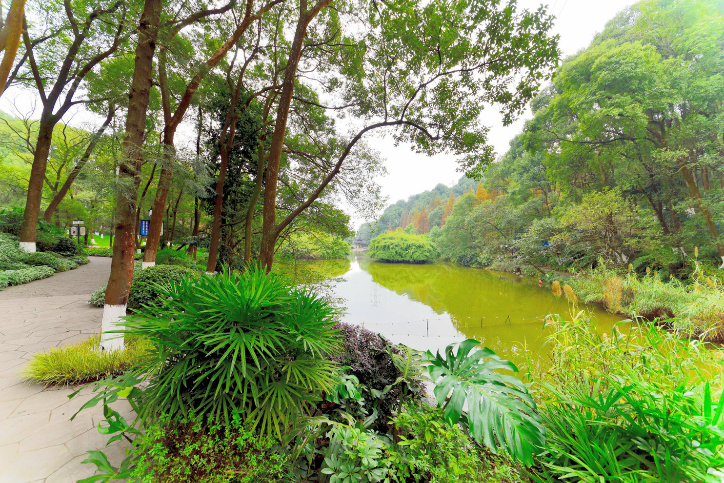 醉美瀘州之我色13_忠山公園3 那個命案