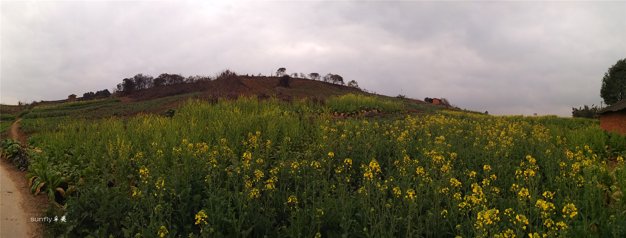 PANO_20170131_134734.jpg