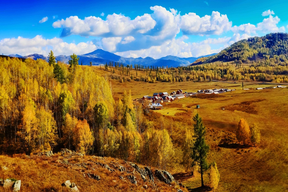 _P2A6794.JPG