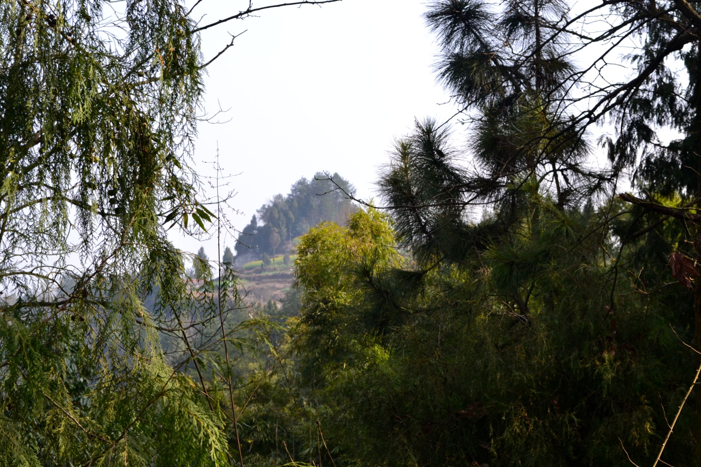 DSC_1028.JPG