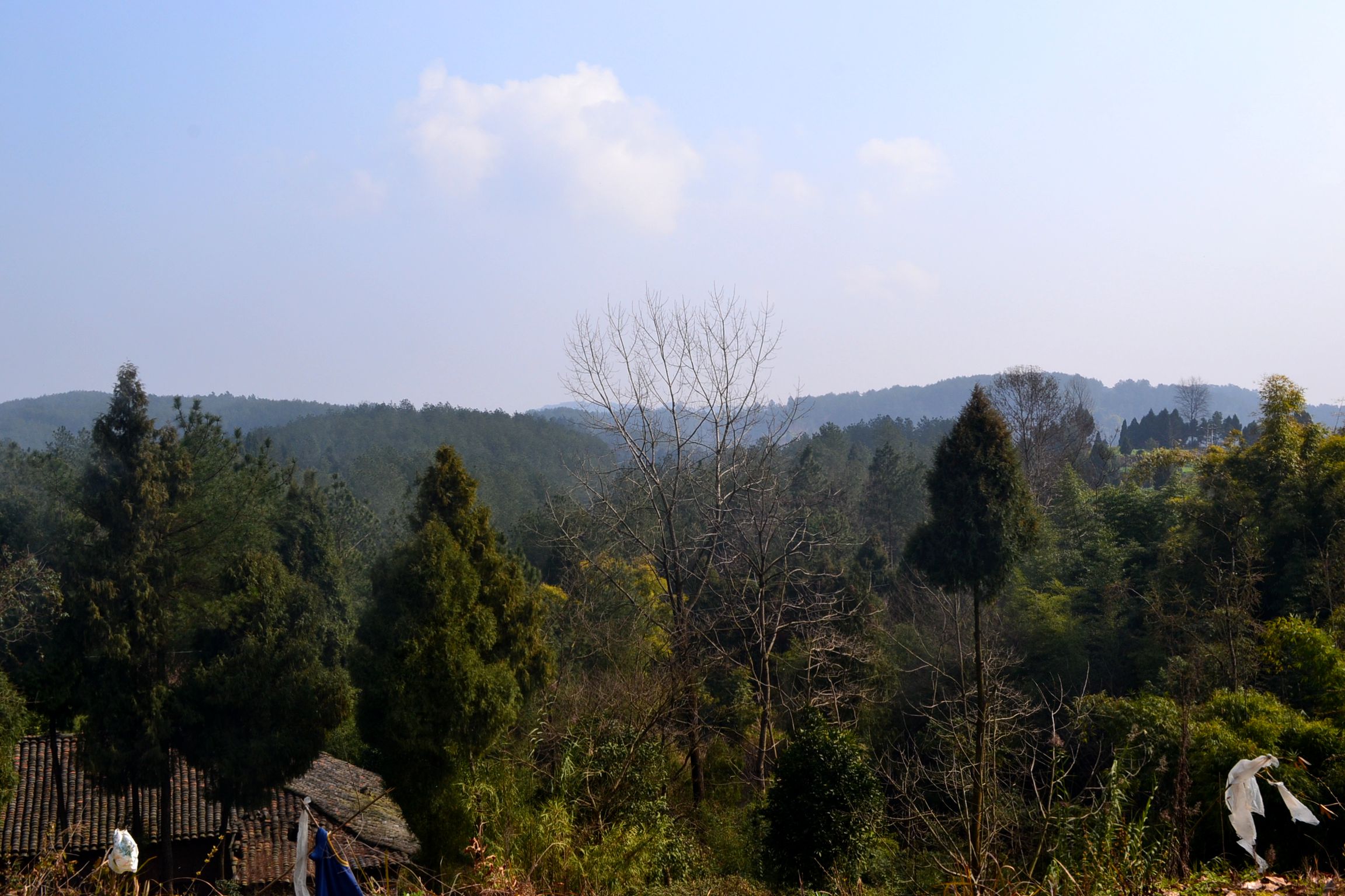 DSC_1036.JPG