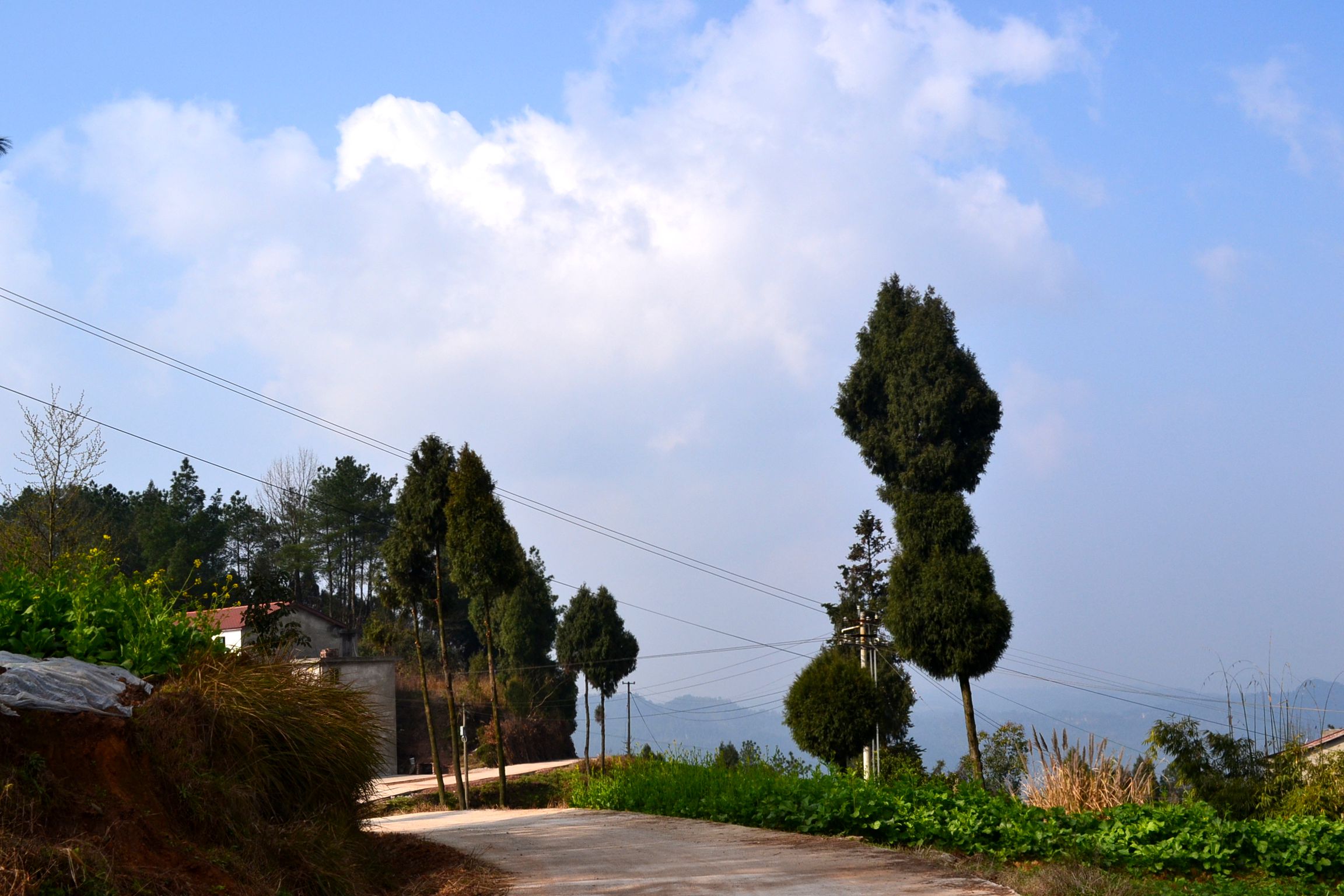 DSC_1038.JPG