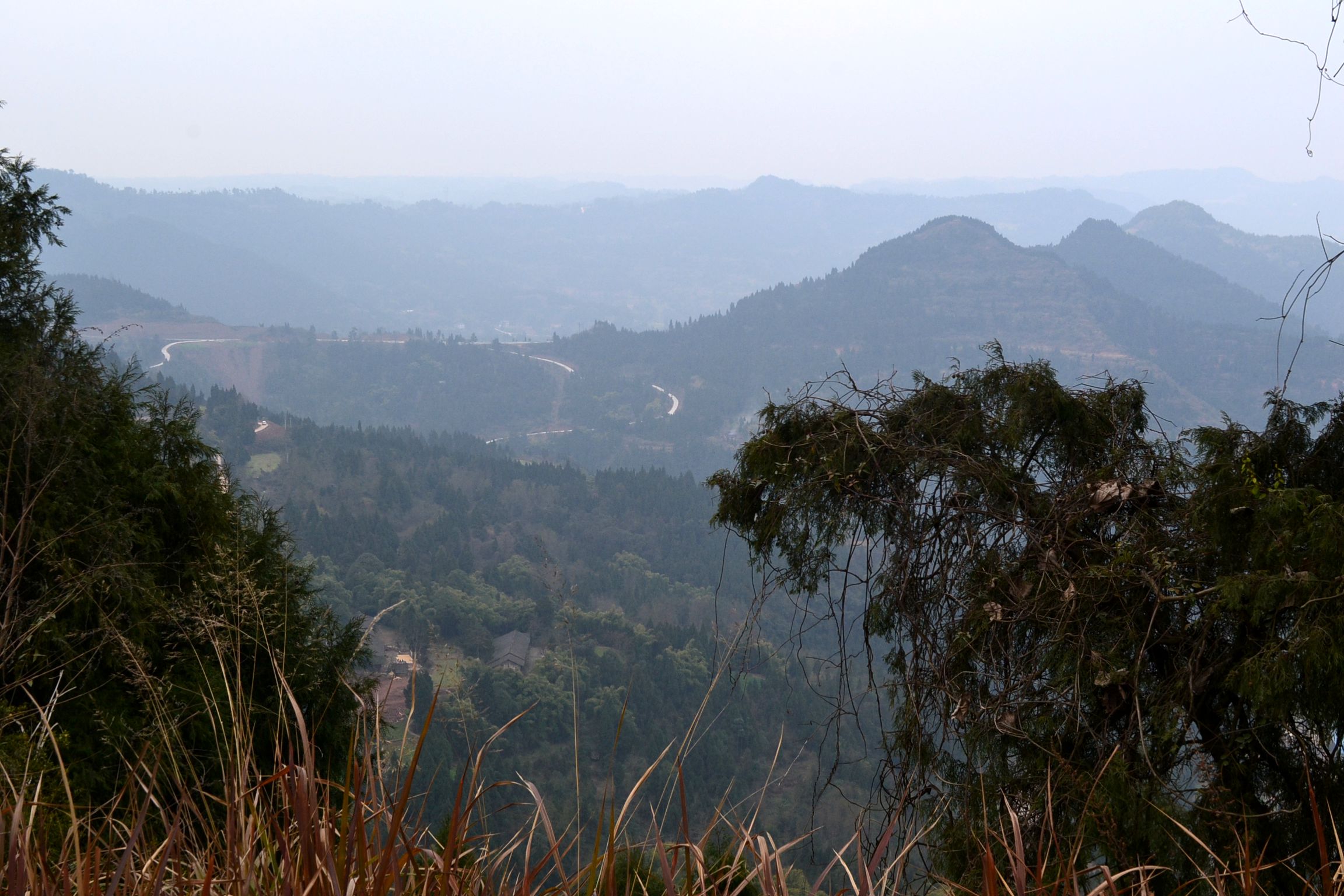 DSC_1086.JPG