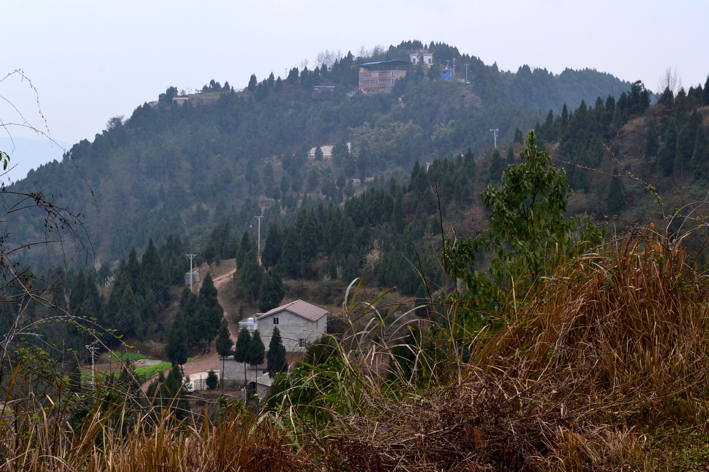 DSC_1093.JPG