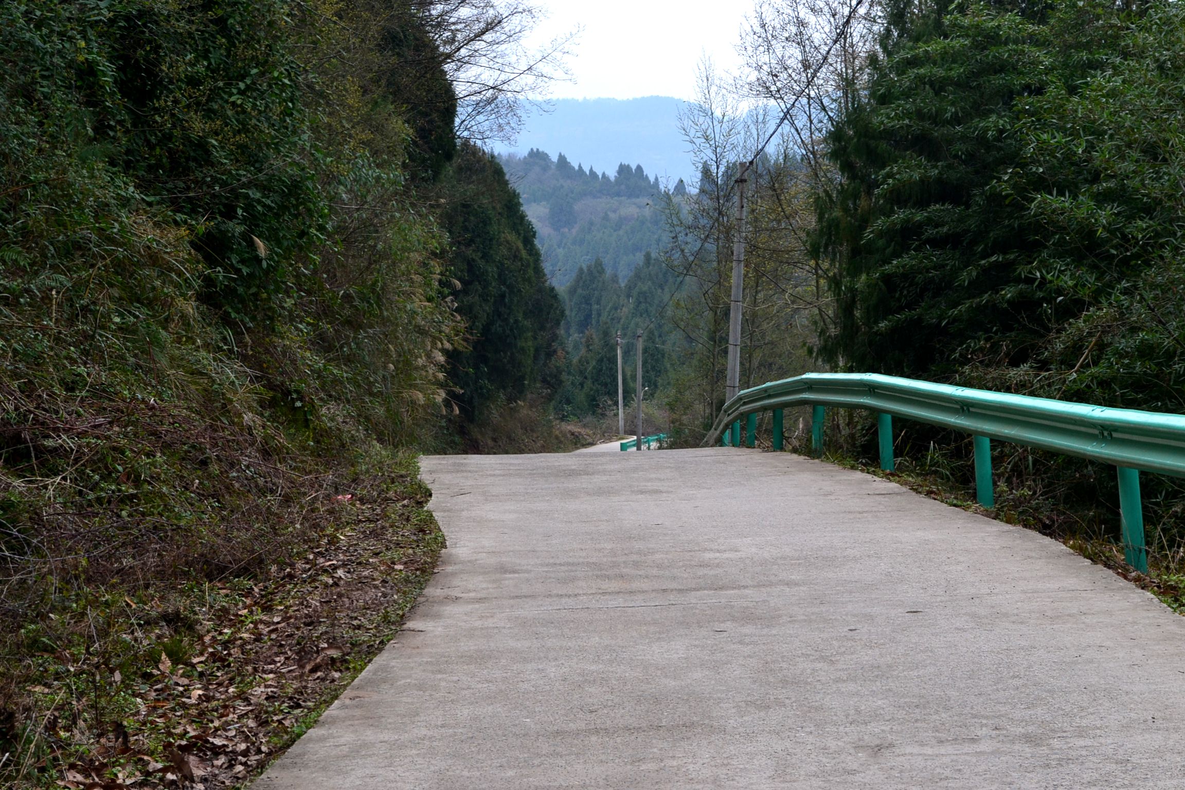DSC_1094.JPG