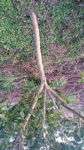 20170129_174056.jpg