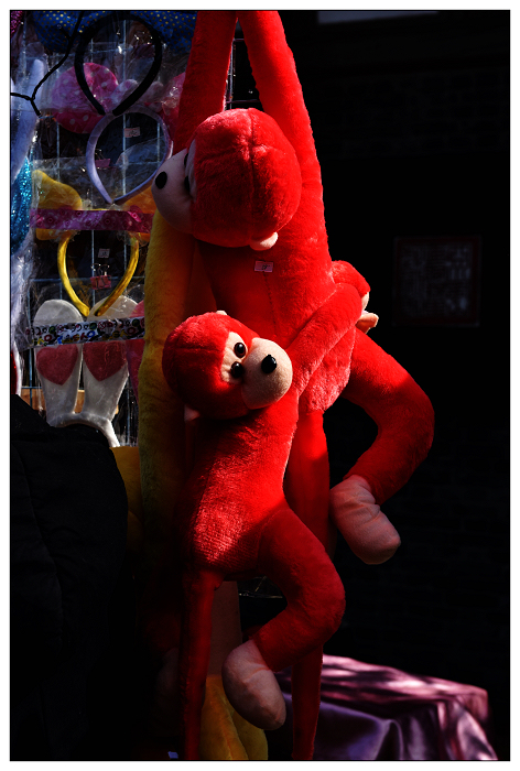 DSC_7455.jpg