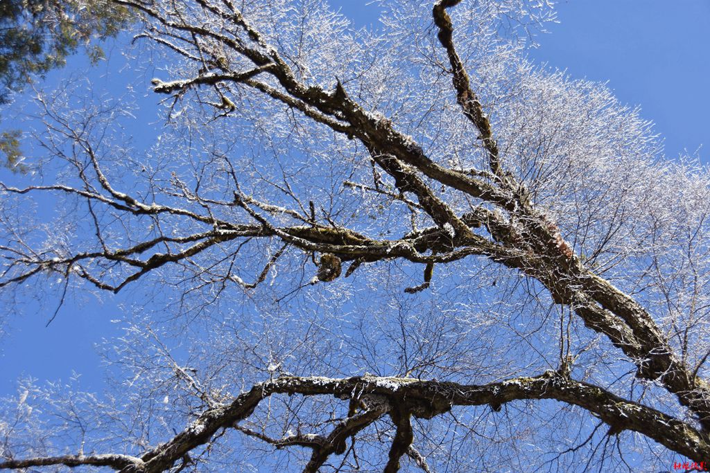 DSC_7677.JPG