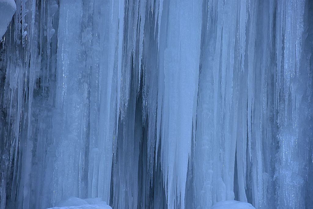 DSC_7884.JPG