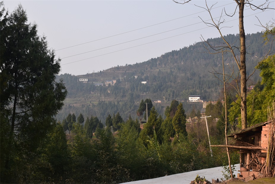 DSC_0141.JPG