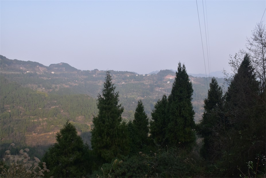 DSC_0163.JPG