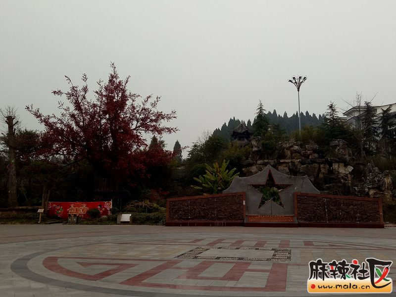 IMG20170218100248.jpg