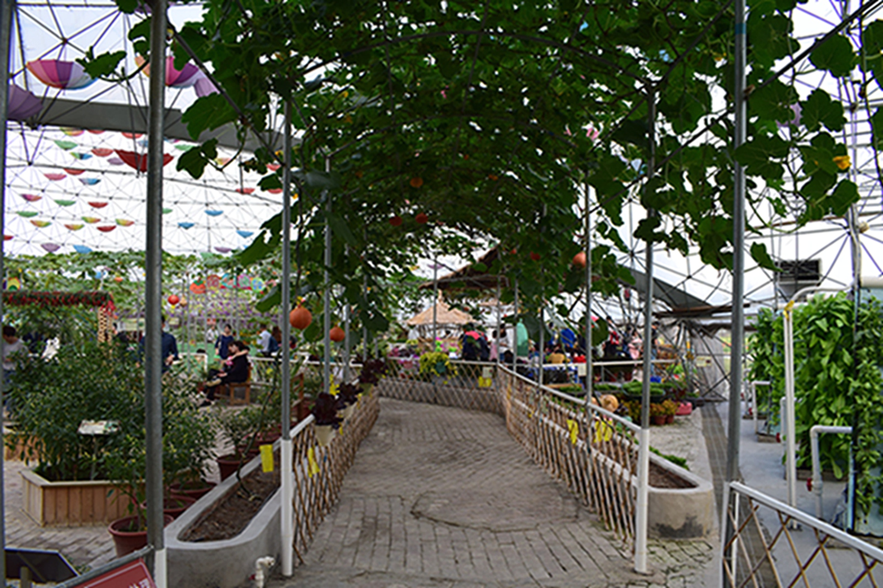 DSC_0823.jpg