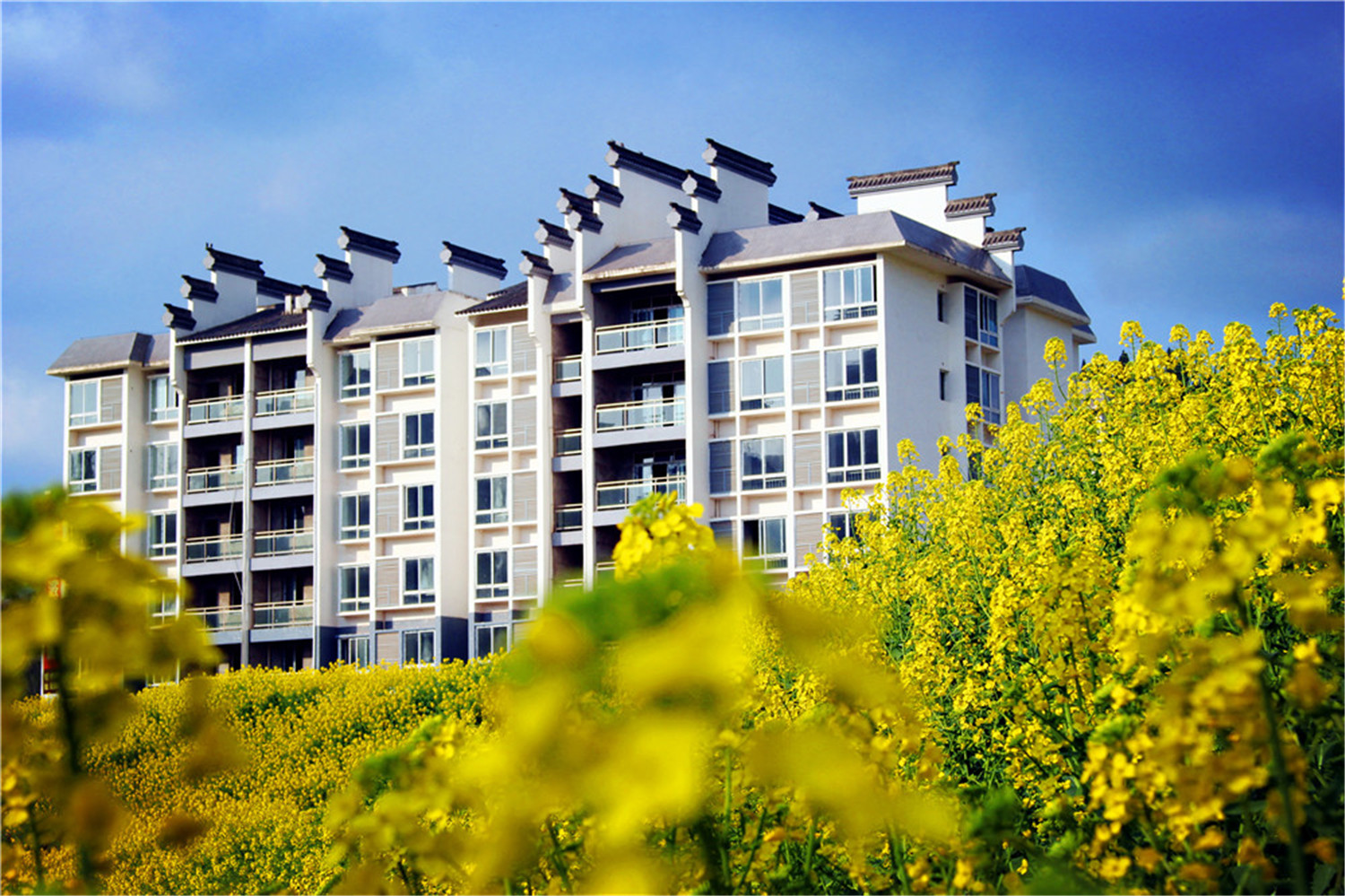 田园中的城市,城市中的田园