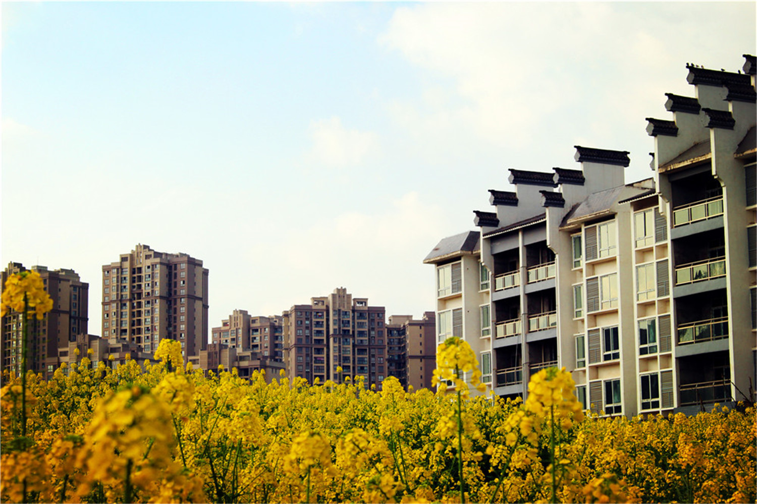 田园中的城市,城市中的田园