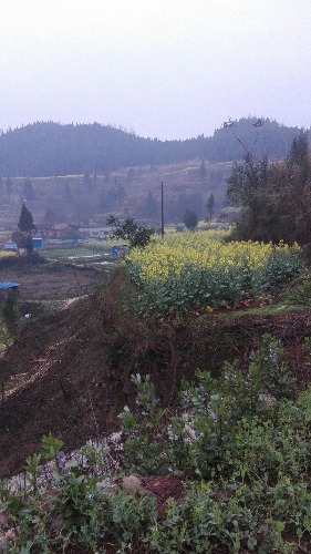 IMG_20170227_072616.jpg