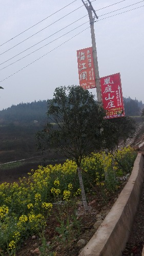 IMG_20170227_075723.jpg