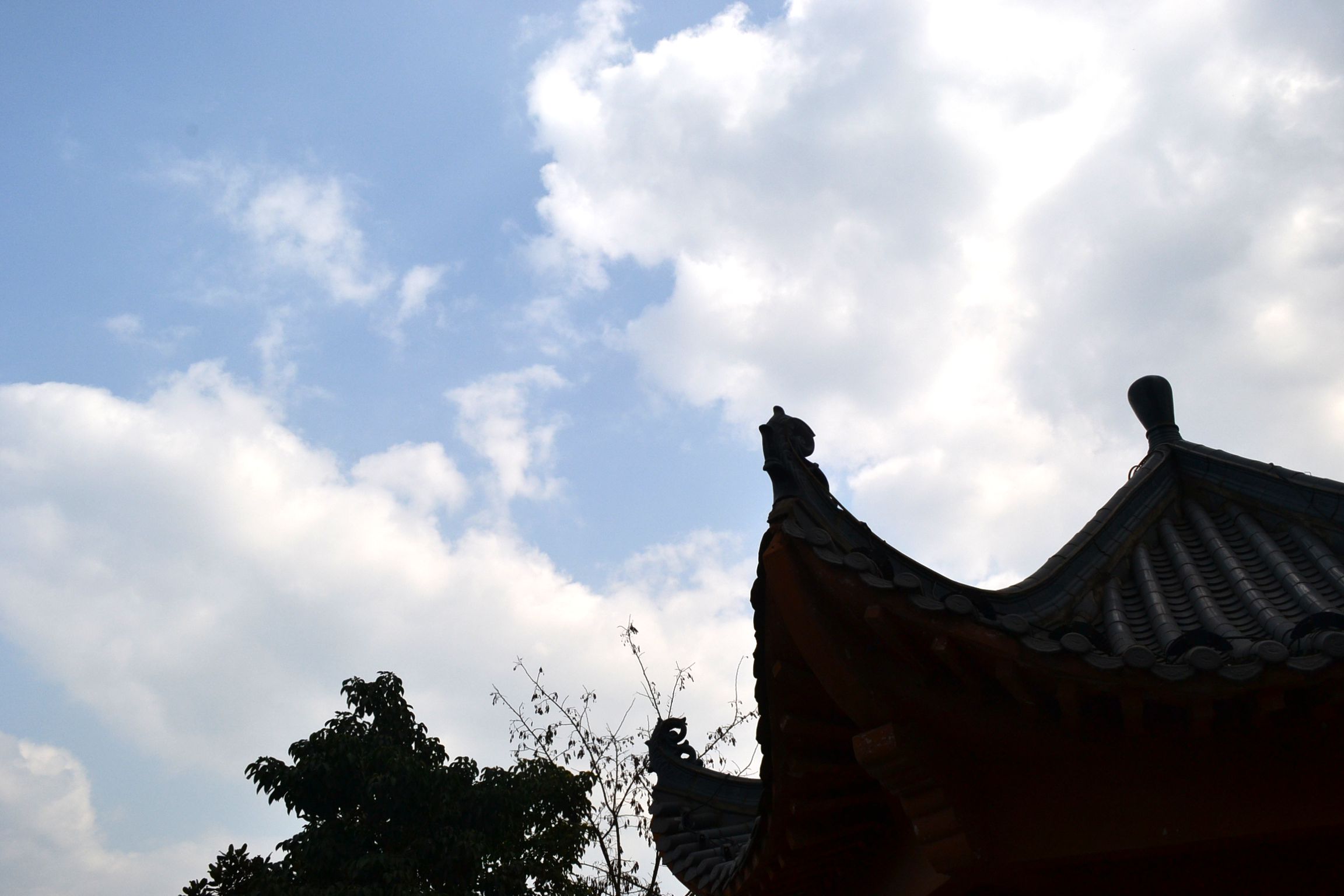 DSC_1372.JPG