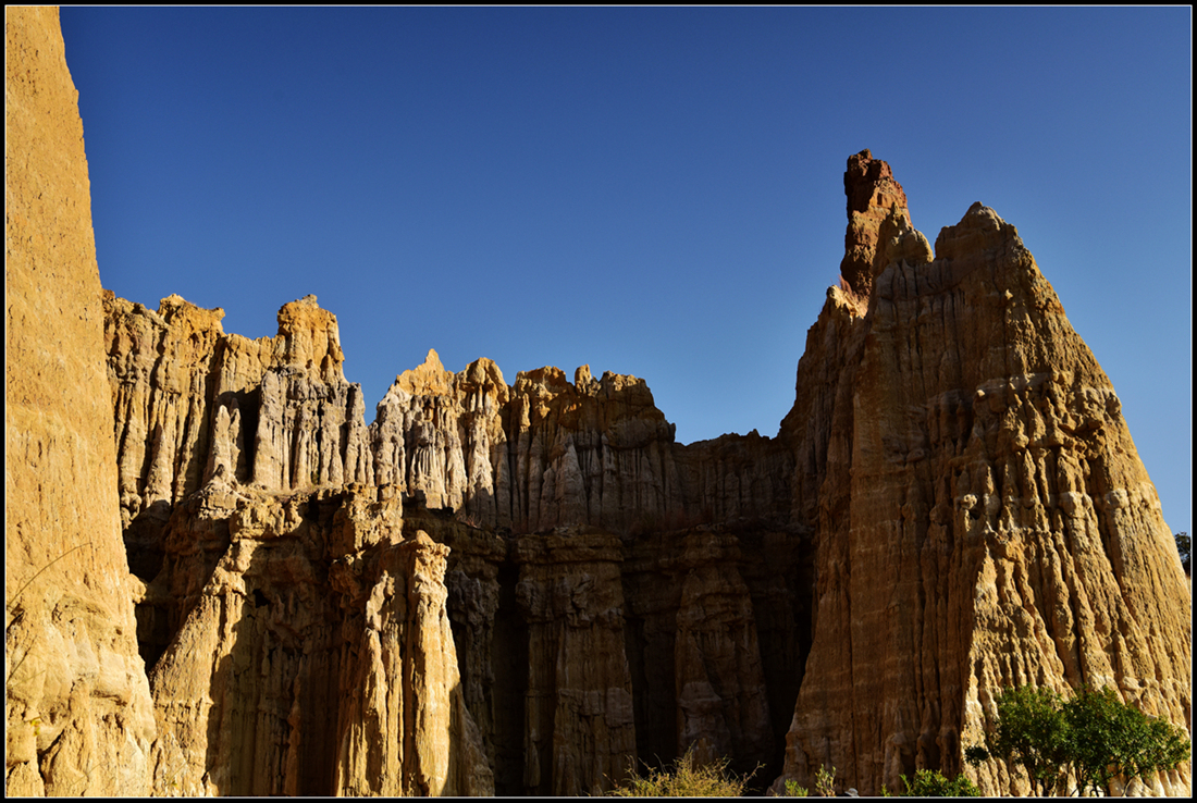 DSC_7775__.jpg