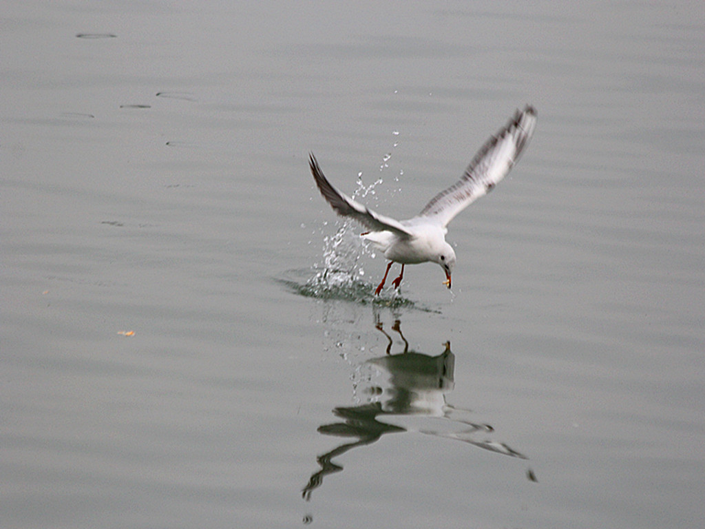 IMG_5226_.jpg