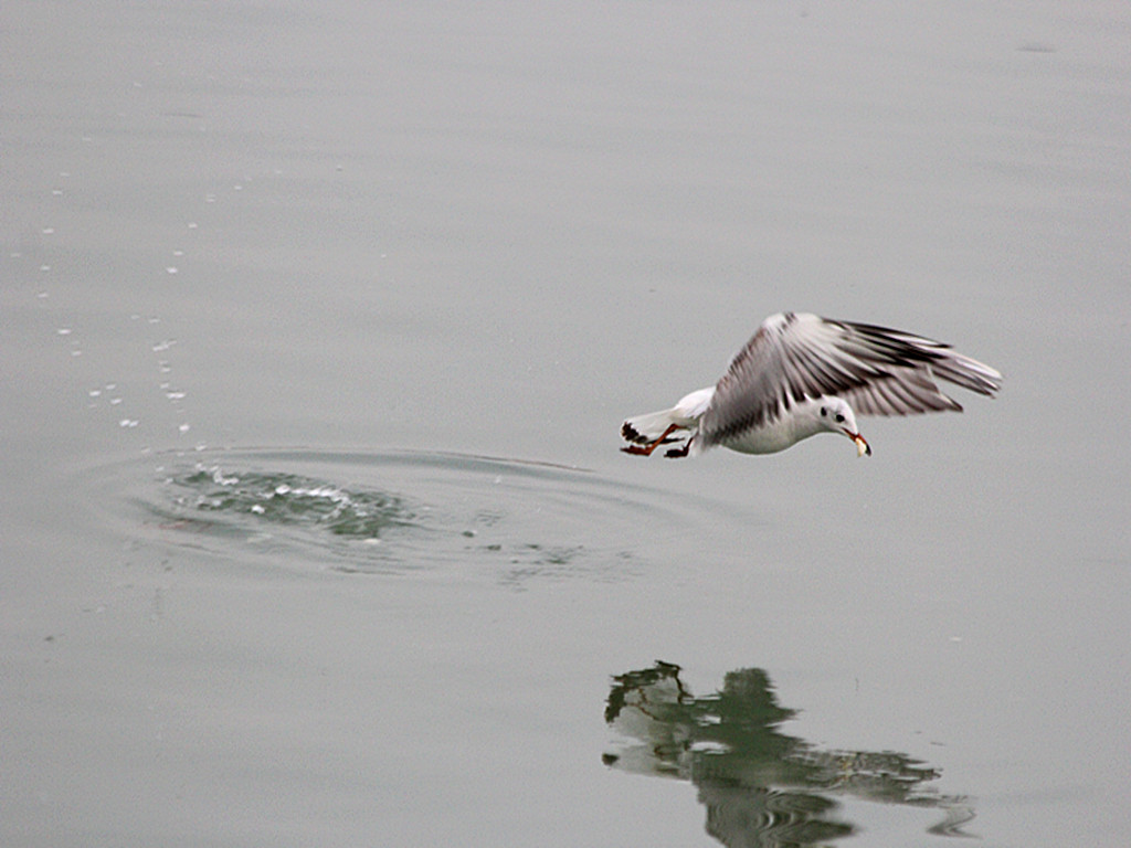 IMG_5235_.jpg