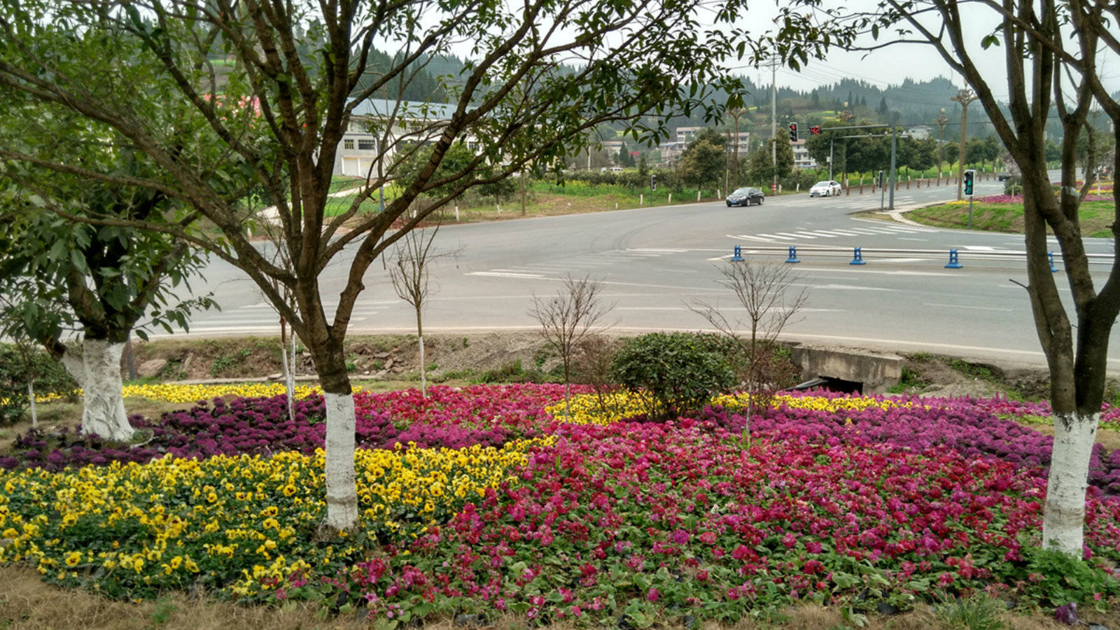 021049r1dw9odr8or8ocrc.jpg