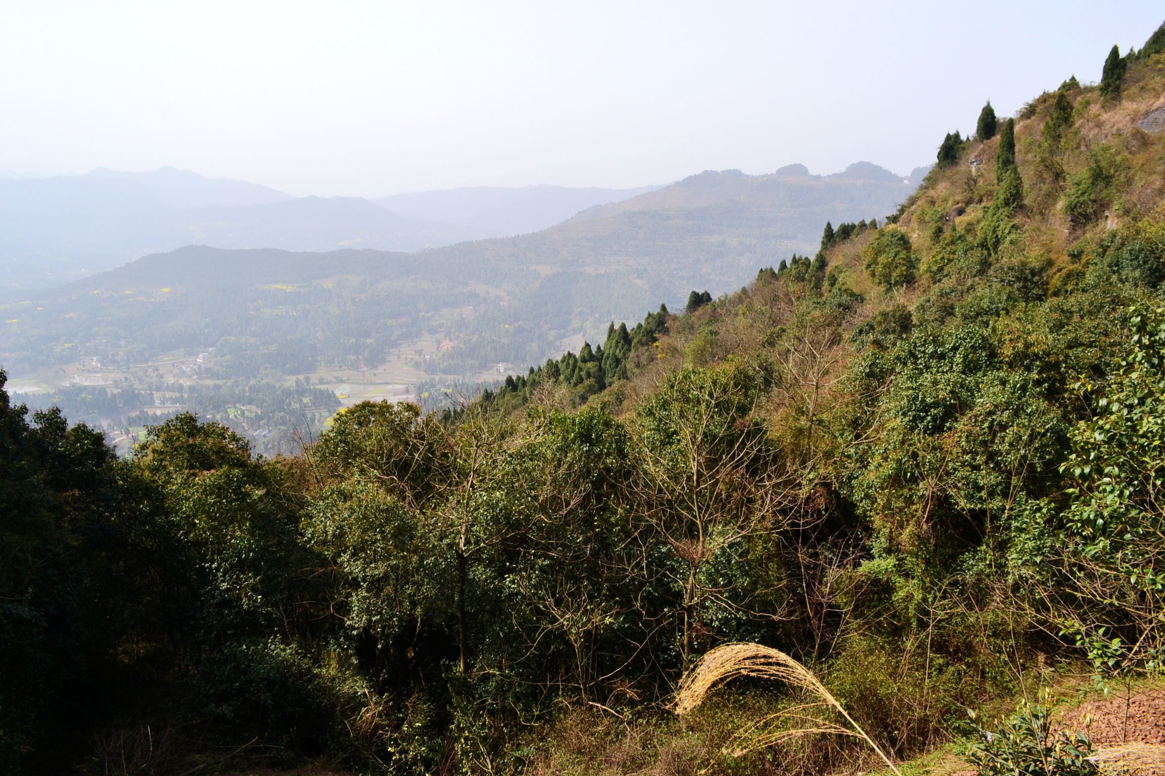 生态美景春山如笑