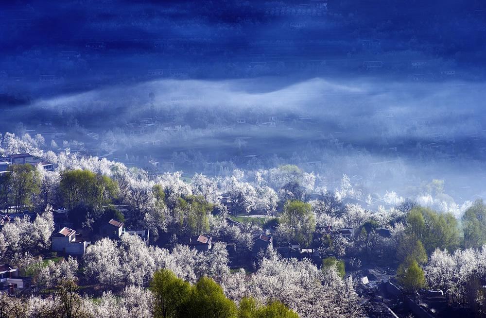 梨花处处有,独赞金川—金川梨花节开幕啦 3月中旬出发