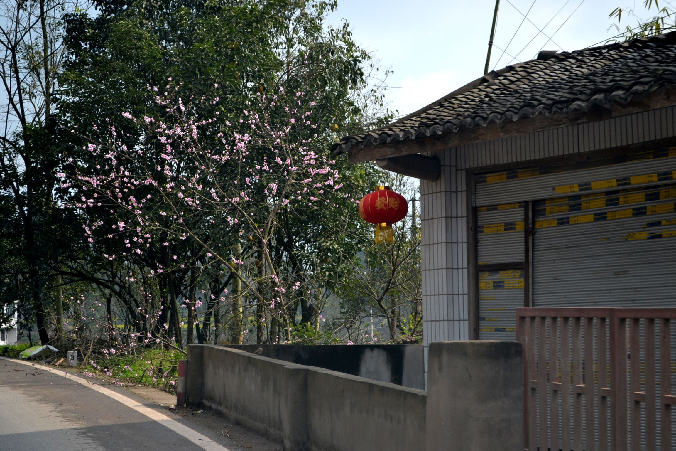 DSC_1427.JPG