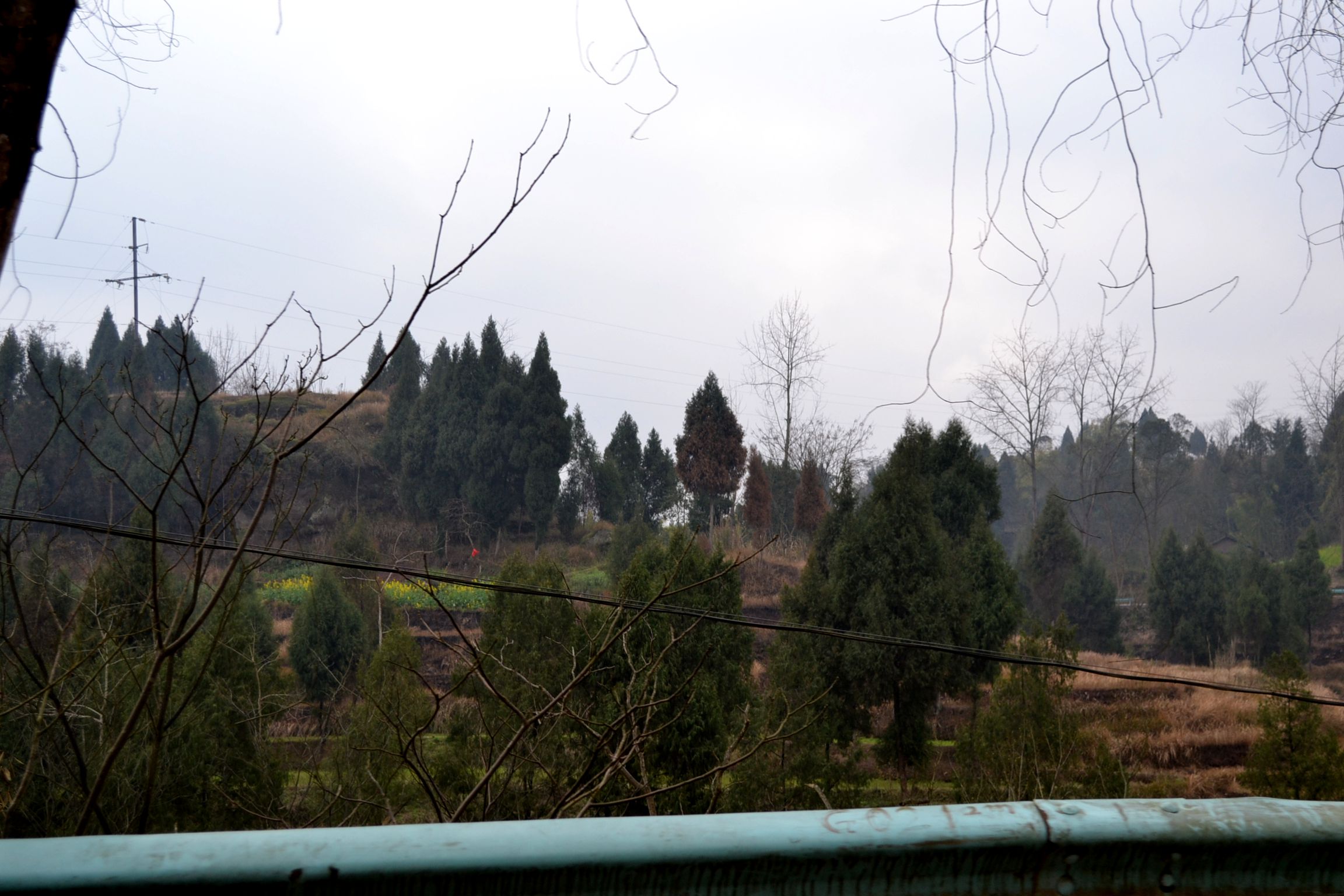 DSC_1441.JPG